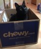 Shadow-Chewy Box 3816.jpg