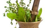 Six Herbs to Boost Weight Loss
