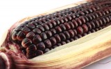 Purple Foods: Health Benefits of the Color Purple