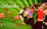 Sign Up for Our Road Trip at Walt Disney World