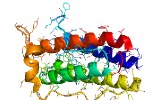 Leptin Resistance and the Obesity Epidemic