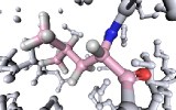 The Amino Acid Leucine May Preserve Muscle Mass When Losing Weight