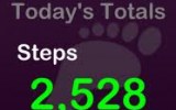Working With the iPod nano Pedometer to Keep Track of Your Workout
