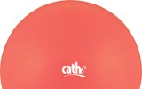55cm Stability Ball