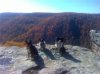 Dogs at Raven Rock.jpg