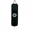 100 lb heavy bag.jpg