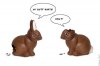 easter21.jpg