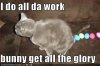 funny-pictures-your-cat-lays-easter-eggs.jpg