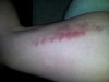 ForumRunner_20130108_092619.jpg
