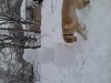 ForumRunner_20130227_144534.jpg