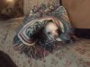 Nilla Couch.jpg