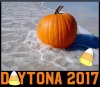 Daytona Pumpkin.jpg