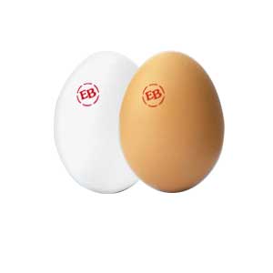 brown eggs vs white eggs