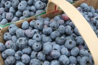 eat more blueberries