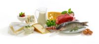 dietary protein for athletes