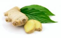 Fresh ginger with leaves