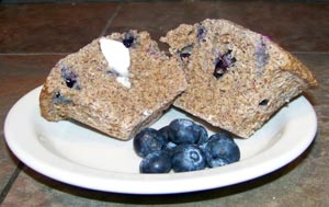 Low Carb Blueberry Muffin