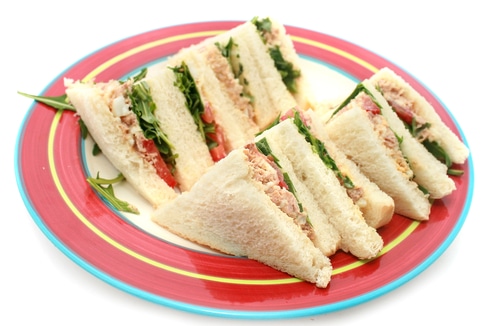 Fit Snacks: A Diet Safe Tuna Sandwich