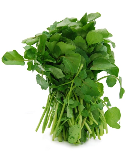 Watercress: A Green Vegetables With Exercise Benefits?