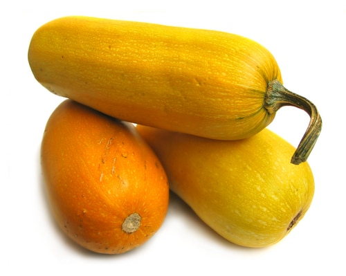 Discover the Health Benefits of Summer Squash