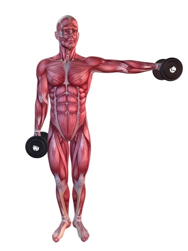 Muscle imbalance online workout