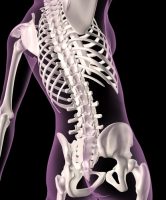 Are high sodium diets bad for your bones