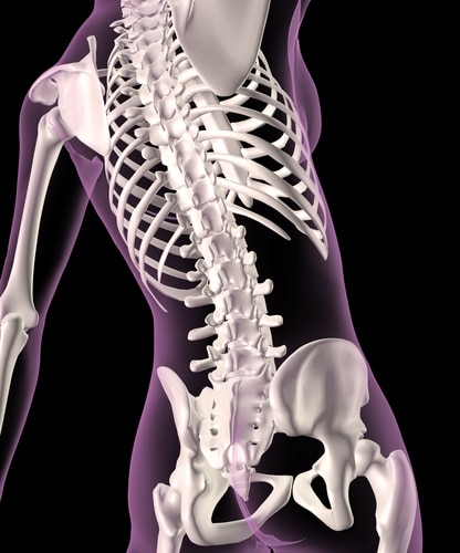 Why High Sodium Diets Are Bad for Your Bones