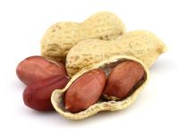 Ten Amazing Health Benefits of Peanuts