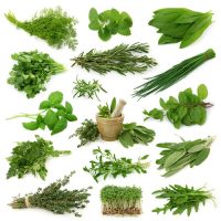 More Antioxidants Than Vegetables? Here's Why You Need to Add More Herbs to Your Food