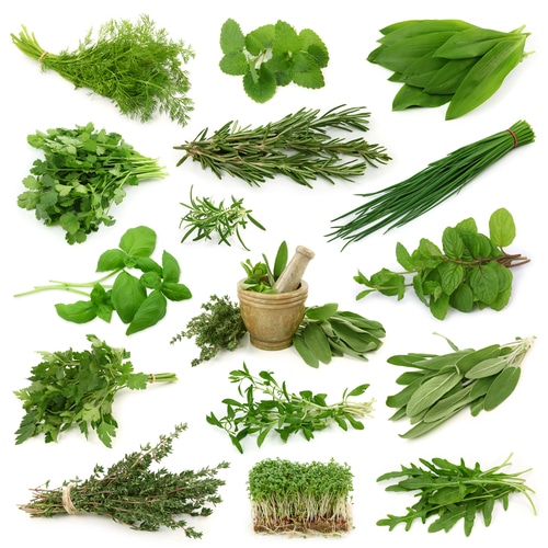 More Antioxidants Than Vegetables? Here’s Why You Need to Add More Herbs to Your Food