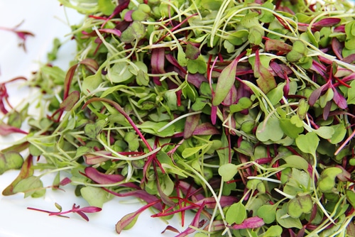 Microgreens: A More Nutritious Way to Get Your Veggies?