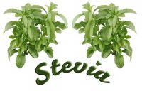 Choosing a Stevia Sweetener