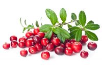 Nine Amazing Health Benefits of Cranberries