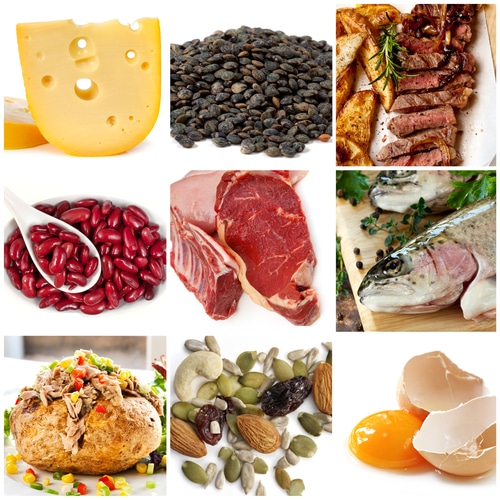 Pros and Cons of getting your protein from plant sources