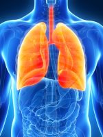 Do Your Lungs Become Stronger With Exercise