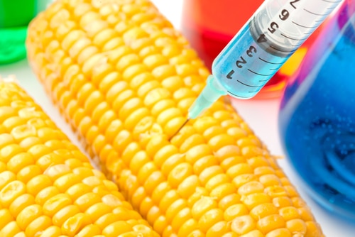 7 Foods Most Likely to Be Genetically Modified