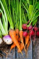 Discover the New Health Benefits of Root Vegetables