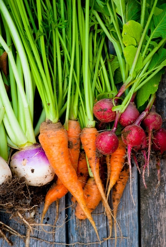 Discover the New Health Benefits of Root Vegetables