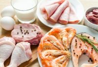 What Role Does Protein Play in Weight Loss?