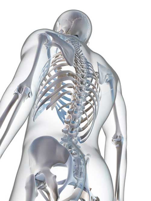 5 Nutrients Other Than Calcium You Need for Healthy Bones