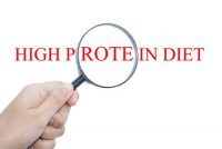 High-Protein Diets: What Effect Do They Have on Metabolism?