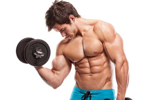 Beyond Protein: the Anabolic Effects of Carbohydrates