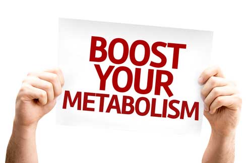 Is Your Metabolism “Damaged?”