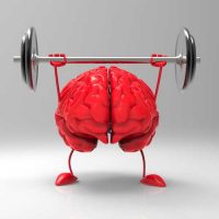 The Role Your Brain Plays in Strength Development