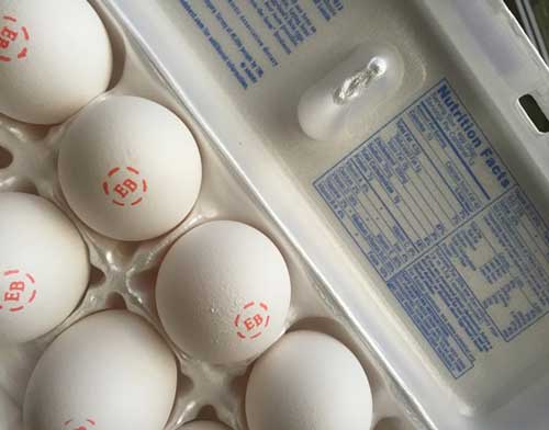 Eggland's Best Eggs: More than Just a Protein Source • Cathe Friedrich