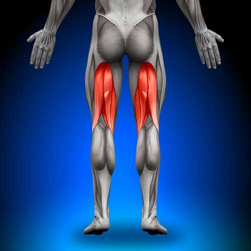 Strengthen hamstrings cheap