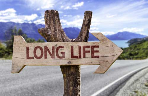 Longevity and Markers for Aging: is How Long You Live All in Your Genes?