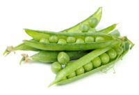 Plant-Based Protein: What’s the Scoop with Pea Protein?