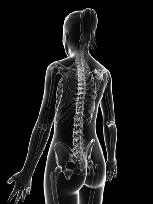 How the Female Spine Changes with Age and Why It Matters