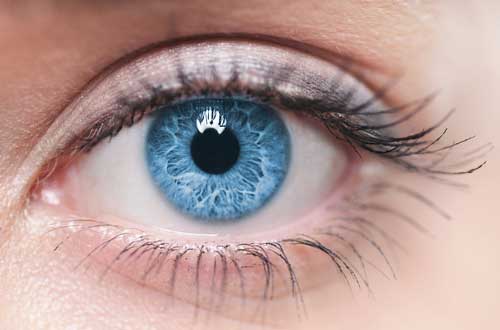 What to Eat for Eye Health